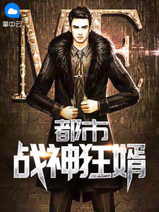 都市战神狂婿萧辰